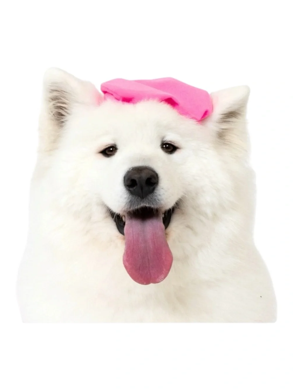 Vibrant Life Halloween Paw-risian Costume for Dogs In Pink